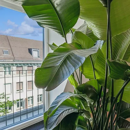 Horizon Bahnhofstrasse, Loewenstrasse Penthouse דירה